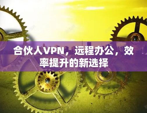 合伙人VPN，远程办公，效率提升的新选择