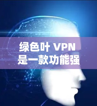 绿色叶 VPN 是一款功能强大的VPN服务，提供多种套餐类型，适合个人用户和企业用户。以下是使用绿色叶 VPN 的步骤