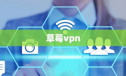 草莓vpn