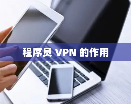 程序员 VPN 的作用 程序员 VPN 的作用