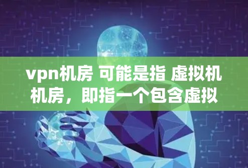 vpn机房 可能是指 虚拟机机房，即指一个包含虚拟机（VM）的环境中使用的存储和网络环境。在云环境中，虚拟机机房通常用于管理多个虚拟机的运行、存储和网络连接