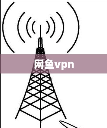 网鱼vpn 网鱼vpn