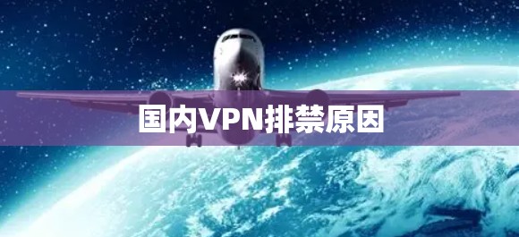 国内VPN排禁原因
